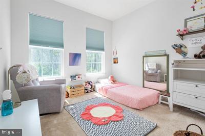 2038 Twisted Oak Pl, Hanover, MD 21076 - view of carpeted bedroom