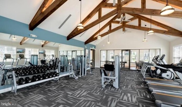 2038 Twisted Oak Pl, Hanover, MD 21076 - workout area with high vaulted ceiling, visible vents, and dark carpet