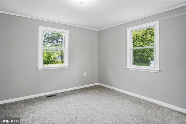 4911 Fox St, College Park, MD 20740 - spare room with ornamental molding, carpet floors, baseboards, and visible vents