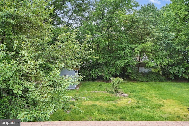 4911 Fox St, College Park, MD 20740 - view of yard featuring a shed and an outdoor structure