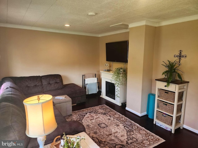 living room featuring crown molding, dark wood finished floors, and a fireplace