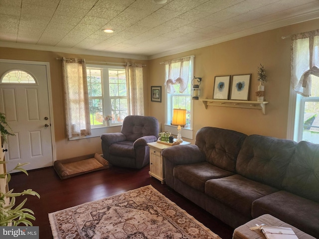 living room featuring crown molding, a wealth of natural light, and dark wood-style flooring