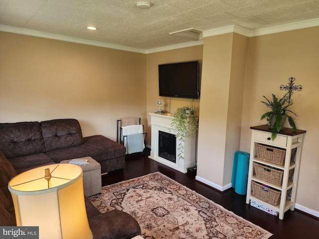 living area featuring a fireplace, dark wood-style flooring, ornamental molding, and baseboards