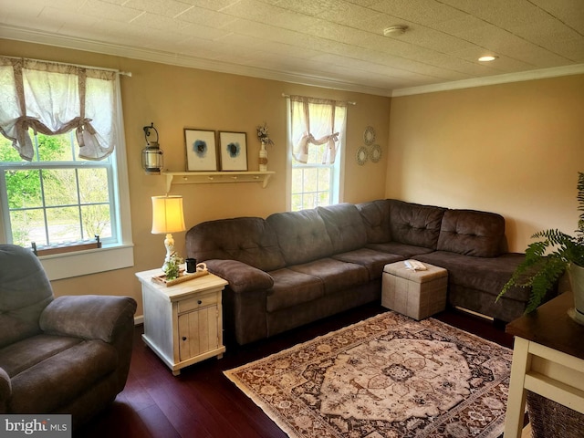living area with ornamental molding, dark wood-style floors, a healthy amount of sunlight, and recessed lighting