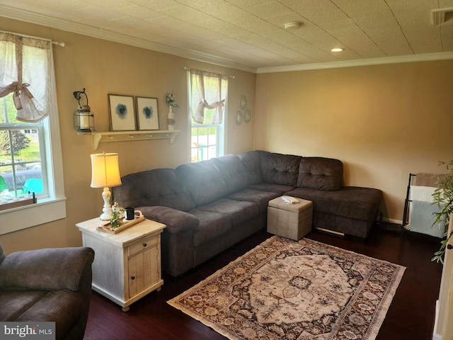 living room featuring crown molding, a wealth of natural light, and dark wood-style flooring