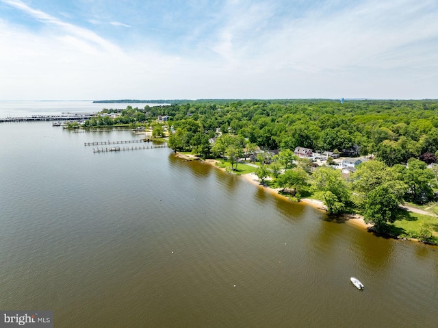 21 Heisler Ave, Charlestown, MD 21914 - bird's eye view of a heavily wooded area and a nearby body of water