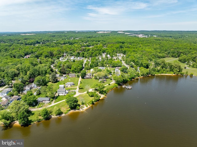 21 Heisler Ave, Charlestown, MD 21914 - drone / aerial view of a forest and a nearby body of water