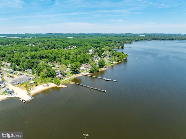 21 Heisler Ave, Charlestown, MD 21914 - bird's eye view of a heavily wooded area and a nearby body of water
