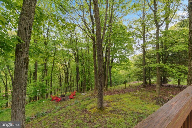 473 Cumberland Rd, Oakland, MD 21550 - view of yard featuring a forest view
