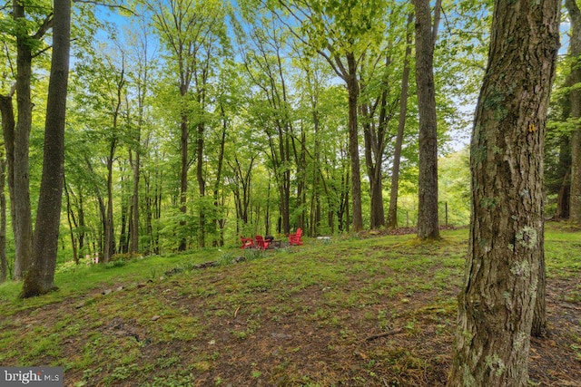 473 Cumberland Rd, Oakland, MD 21550 - view of yard with a view of trees