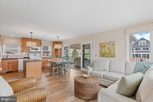 113 Henlopen Dr, South Bethany, DE 19930 - living area featuring healthy amount of natural light and light wood finished floors
