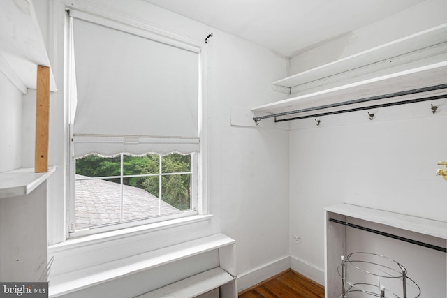 walk in closet featuring wood finished floors