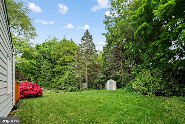 view of green lawn featuring a shed and an outbuilding