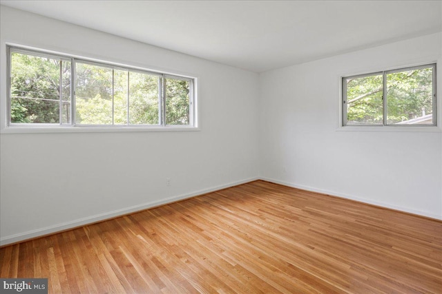 8815 Beauchamp Dr, Alexandria, VA 22309 - unfurnished room with healthy amount of natural light, baseboards, and light wood-type flooring