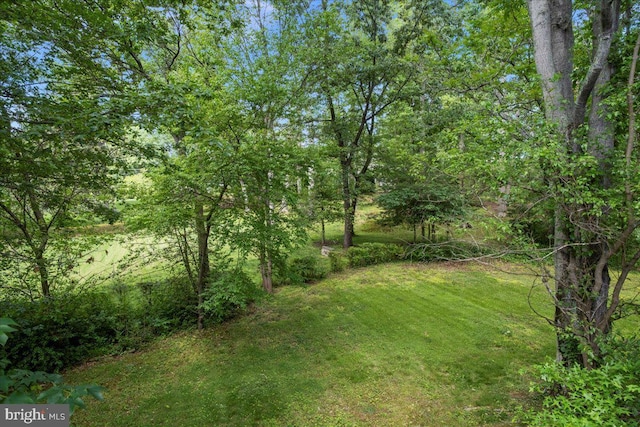 8815 Beauchamp Dr, Alexandria, VA 22309 - view of grassy yard with a wooded view