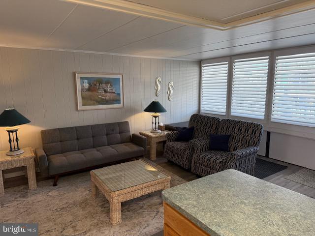 11 71st St Unit 102, Ocean City, MD 21842 - view of living room