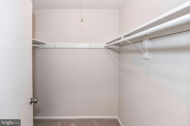 3712 N Rosser St Unit 201, Alexandria, VA 22311 - walk in closet with carpet