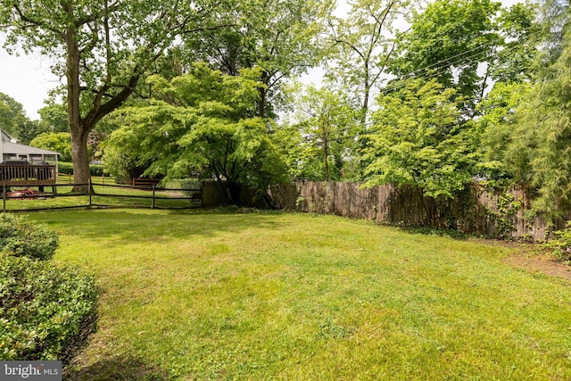 view of yard with a fenced backyard