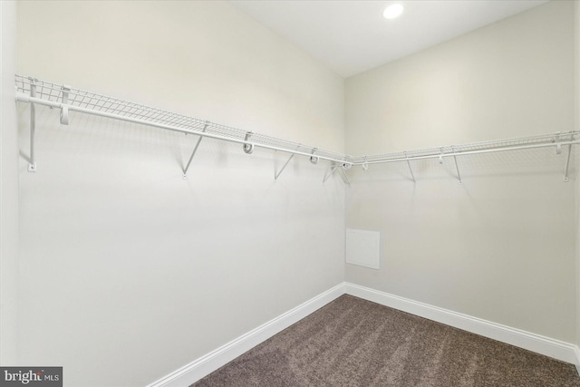 2424 W Lanvale St, Baltimore, MD 21216 - spacious closet with dark colored carpet