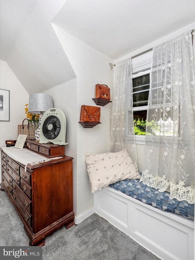 1606 N Market St, Frederick, MD 21701 - bedroom featuring carpet floors and vaulted ceiling