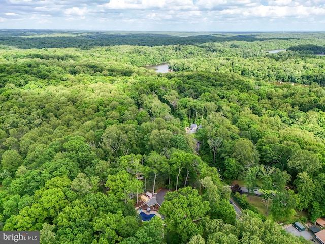 6404 Yates Ford Rd, Manassas, VA 20111 - drone / aerial view of a forest