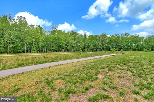 14540 Grace Kellen Ave, Brandywine, MD 20613 - view of yard with a wooded view