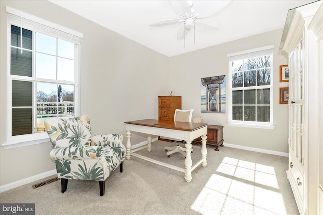 5609 Zoe Ln, Frederick, MD 21704 - office area with light colored carpet, a wealth of natural light, visible vents, and baseboards