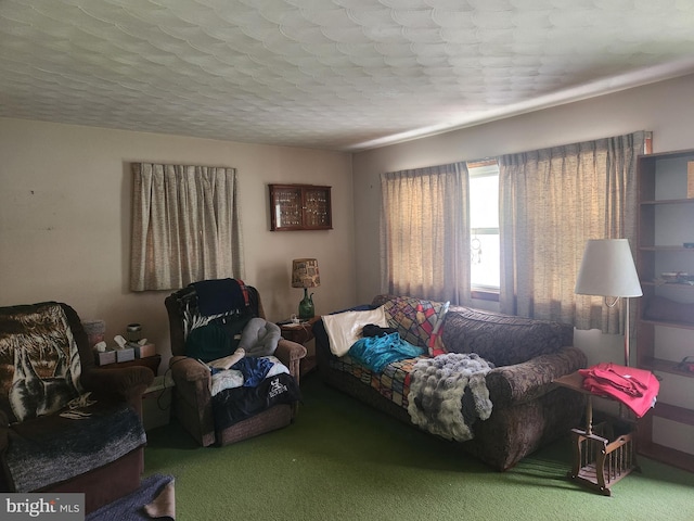 2153 Turnpike Rd, Elizabethtown, PA 17022 - view of carpeted living room