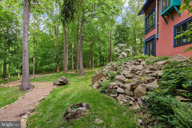 1420 Little Conestoga Rd, Glenmoore, PA 19343 - view of green lawn