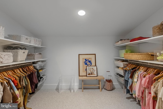 1420 Little Conestoga Rd, Glenmoore, PA 19343 - view of spacious closet