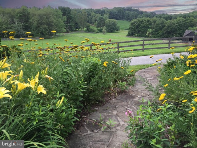 view of yard with a view of rural / pastoral area