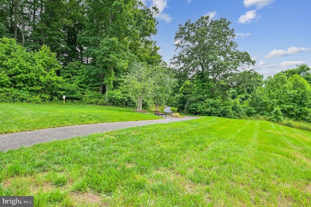 2808 Saint Marys View Rd, Accokeek, MD 20607 - view of yard