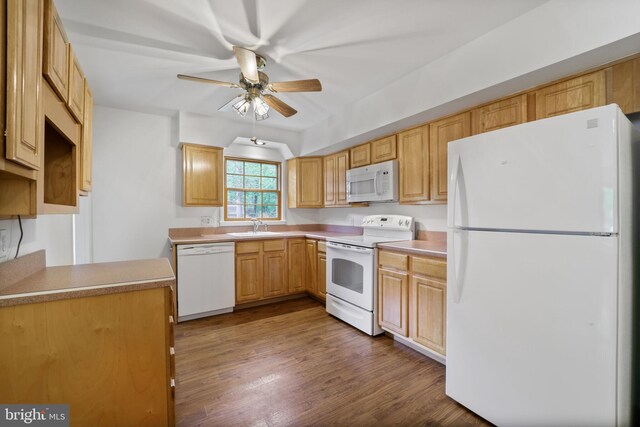 kitchen featuring white appliances, a sink, a ceiling fan, dark wood-style flooring, and light countertops