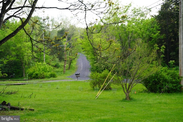 view of community featuring a wooded view