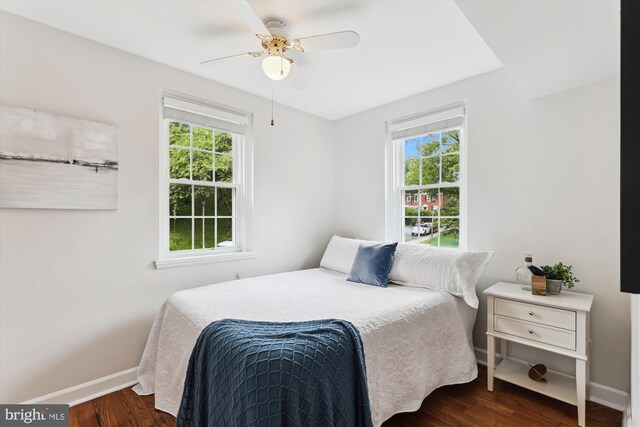 4829 27th Rd S, Arlington, VA 22206 - bedroom featuring baseboards, multiple windows, dark wood finished floors, and ceiling fan
