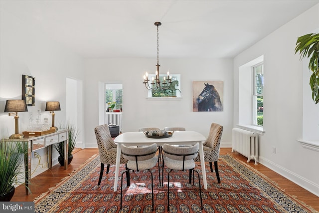 dining space featuring radiator heating unit, a chandelier, healthy amount of natural light, and wood finished floors