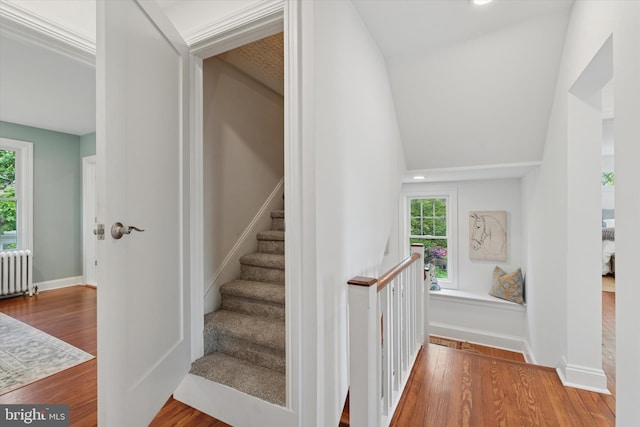 stairway with radiator, wood finished floors, plenty of natural light, and lofted ceiling