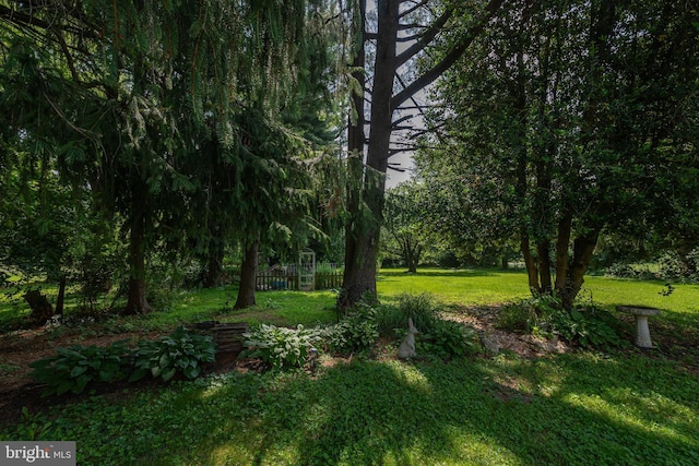 1501 Long Corner Rd, Mount Airy, MD 21771 - view of grassy yard