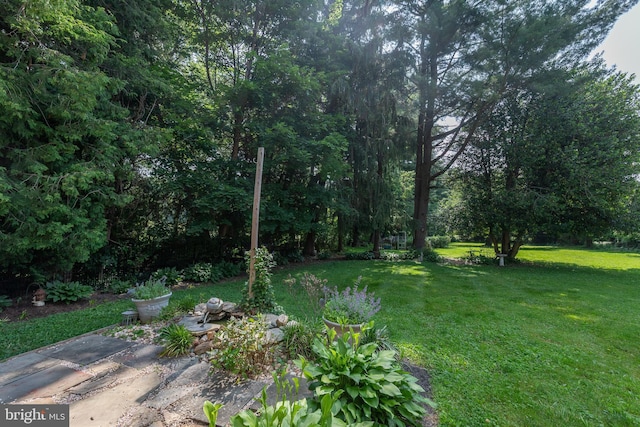 1501 Long Corner Rd, Mount Airy, MD 21771 - view of grassy yard with a patio