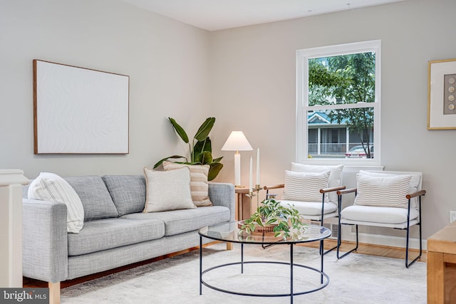 living room featuring wood finished floors