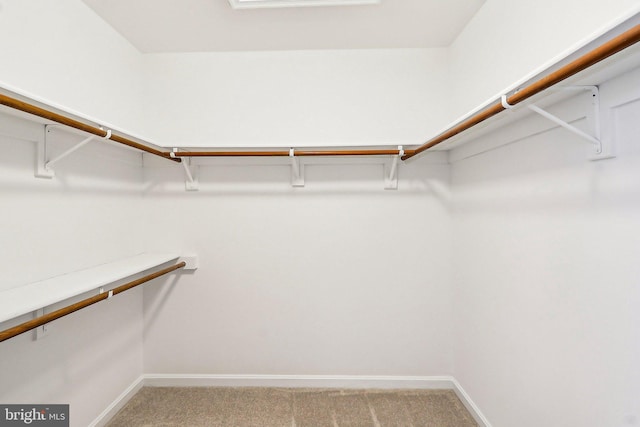 walk in closet featuring light carpet