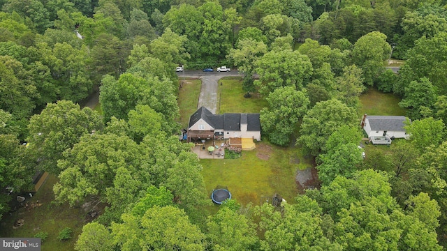 27076 Jennings Dr, Ruther Glen, VA 22546 - view of subject property with a heavily wooded area