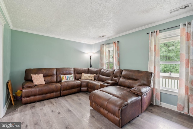 27076 Jennings Dr, Ruther Glen, VA 22546 - living area featuring healthy amount of natural light, wood finished floors, a textured ceiling, crown molding, and baseboards
