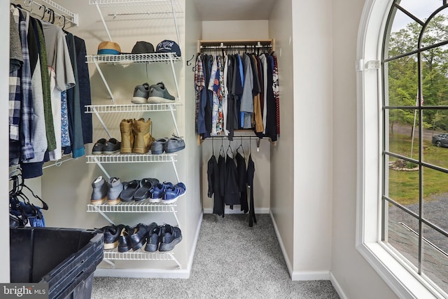 walk in closet with carpet floors