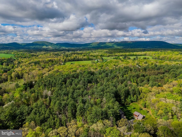 aerial view of a forest and a mountainous background