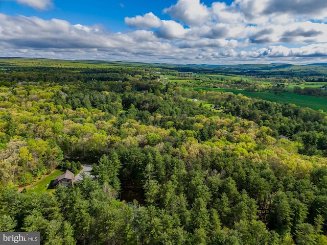 drone / aerial view of a forest