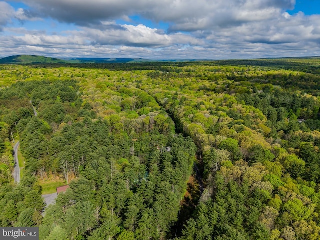 drone / aerial view of a heavily wooded area