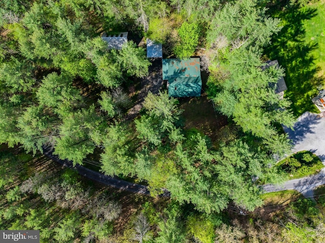 bird's eye view