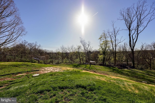 10 E Canal Rd, York, PA 17404 - view of yard