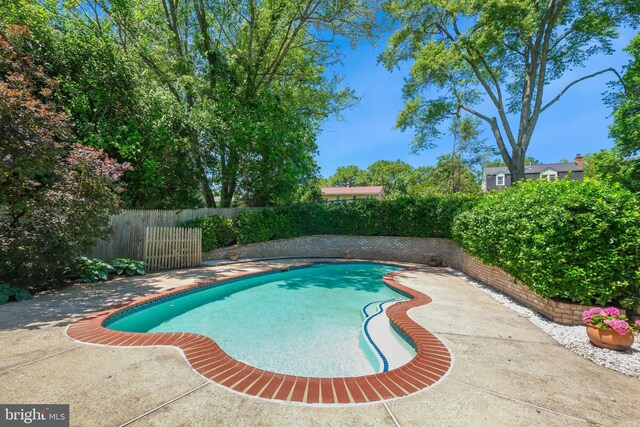 view of swimming pool with a fenced backyard and a patio